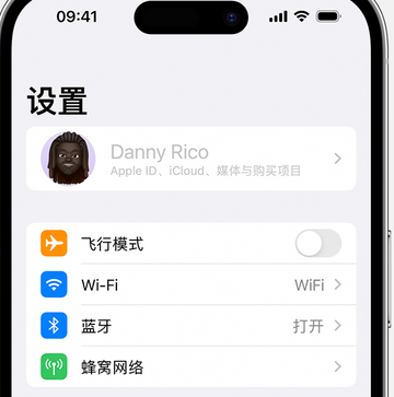 若羌appleID维修服务iPhone设置中Apple ID显示为灰色无法使用 