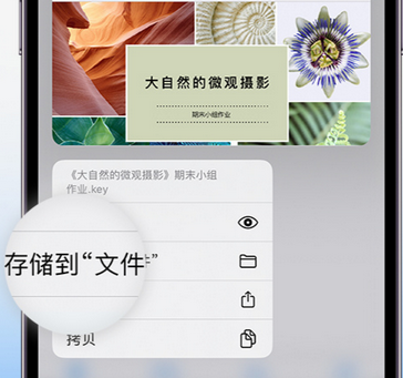 若羌apple维修中心分享iPhone文件应用中存储和找到下载文件