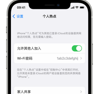 若羌apple服务站点分享iPhone上个人热点丢失了怎么办