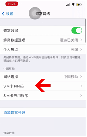 若羌苹果14维修网分享如何给iPhone14的SIM卡设置密码 