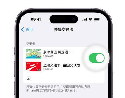 若羌apple维修点分享iPhone上更换Apple Pay快捷交通卡手绘卡面 