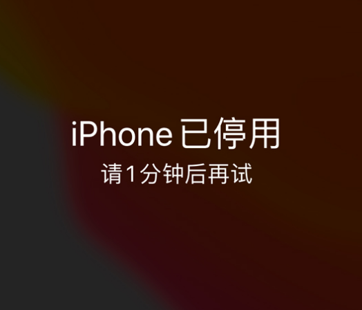 若羌苹果手机维修分享:iPhone 显示“不可用”或“已停用”怎么办？还能保留数据吗？ 