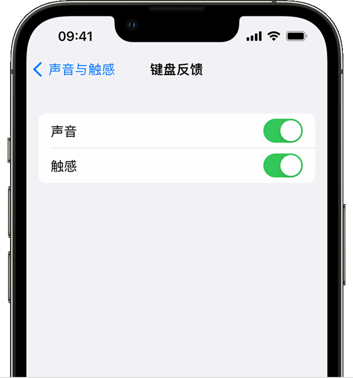 若羌苹果14维修店分享如何在 iPhone 14 机型中使用触感键盘 