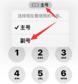 若羌苹果14维修店分享iPhone 14 Pro Max使用副卡打电话的方法 