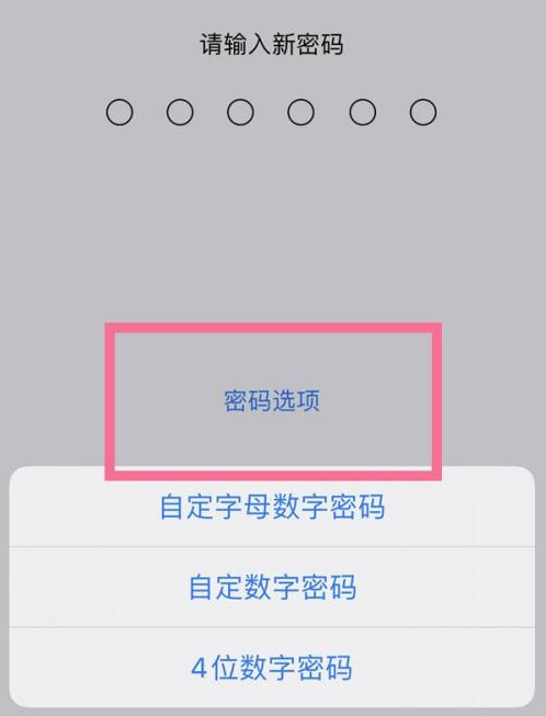 若羌苹果14维修分享iPhone 14plus设置密码的方法 