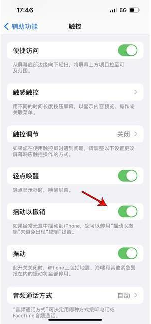 若羌苹果手机维修分享iPhone手机如何设置摇一摇删除文字 